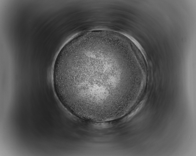 X0000099930957200805301155