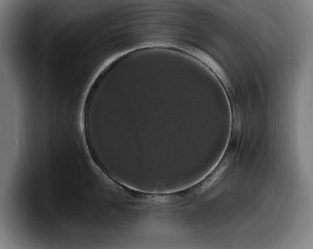 X0000099930958200805301155