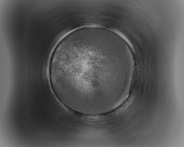 X0000099930959200805301155