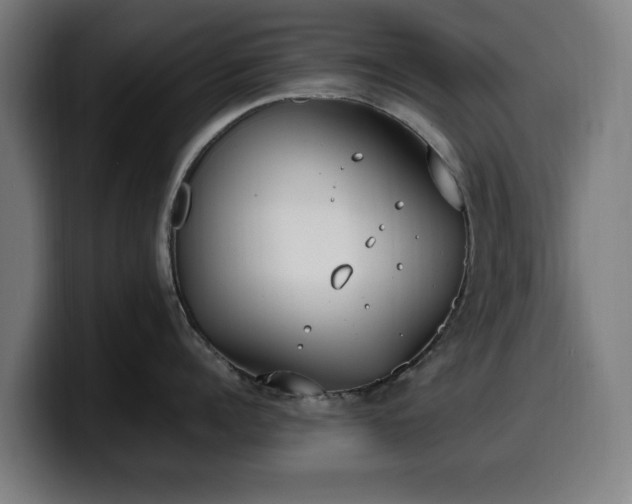 X0000099930960200805301156