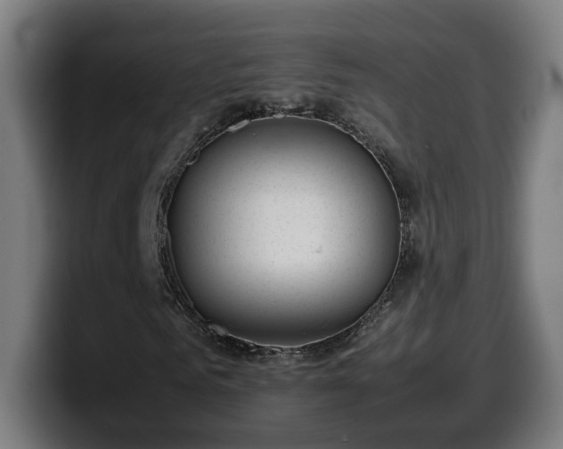 X0000099930961200805301155