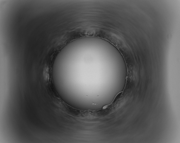 X0000099930962200805301155