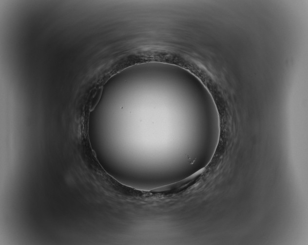 X0000099930965200805301155