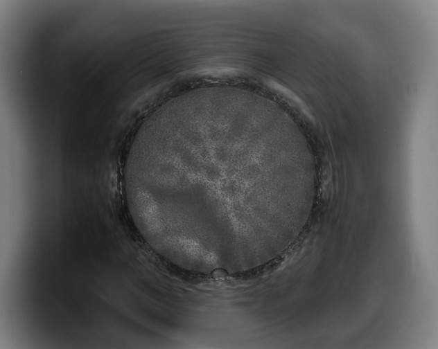 X0000099930966200805301155