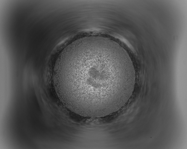 X0000099930967200805301155