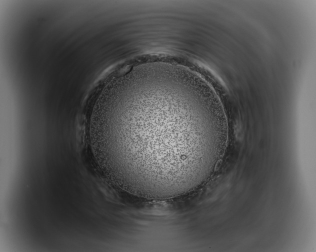 X0000099930968200805301155