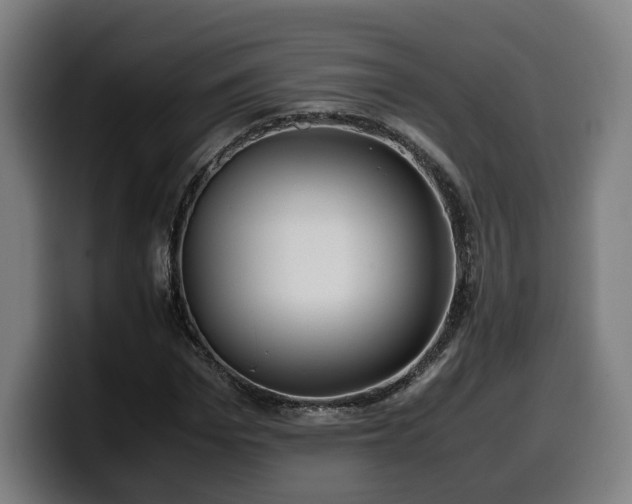 X0000099930969200805301155