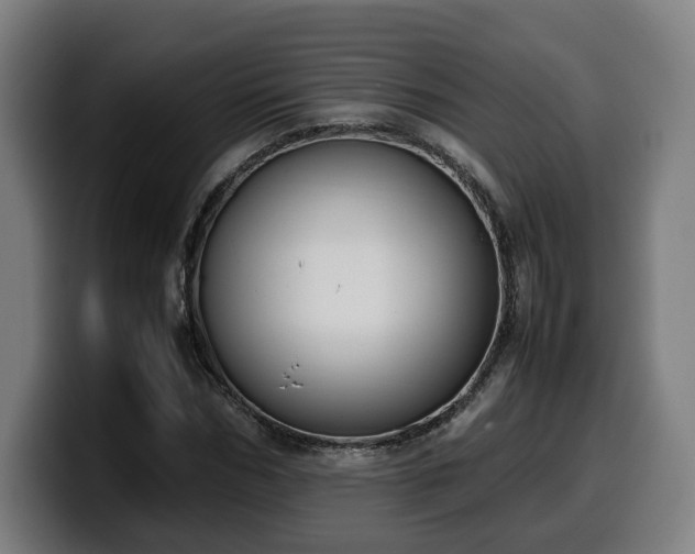 X0000099930970200805301155