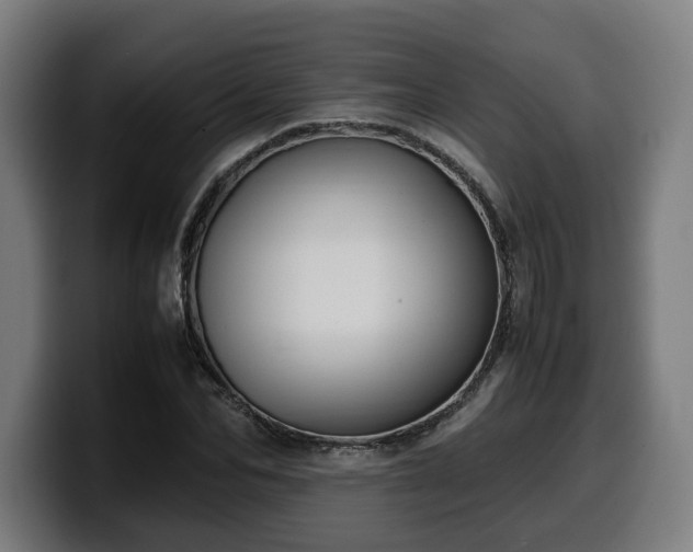 X0000099930974200805301155