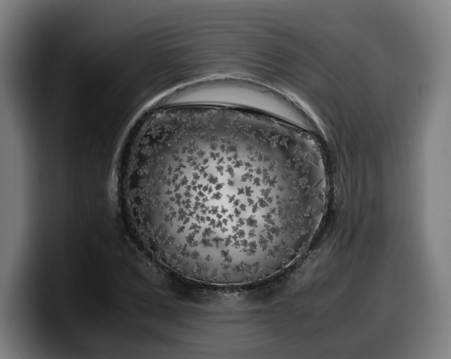X0000099930975200805301155