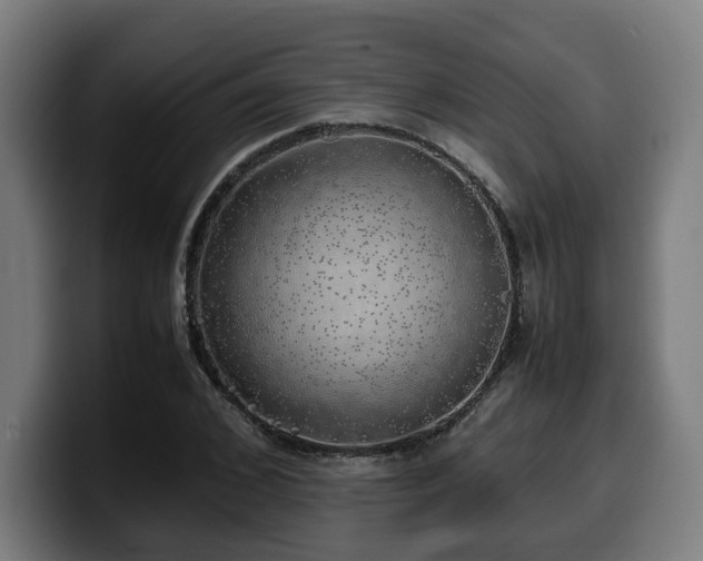 X0000099930976200805301155