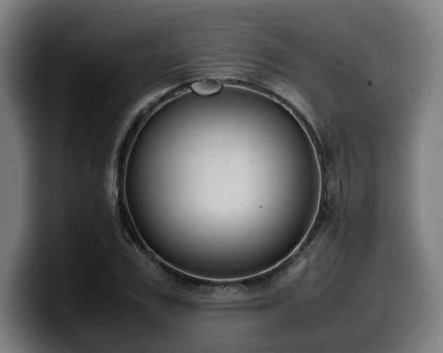 X0000099930979200805301155