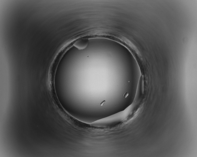 X0000099930981200805301155