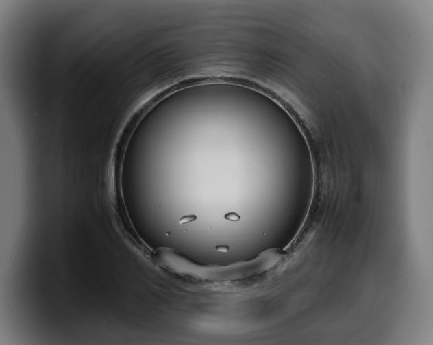 X0000099930982200805301155