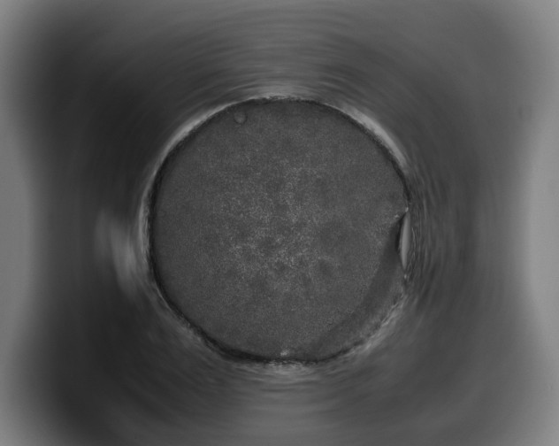 X0000099930983200805301155