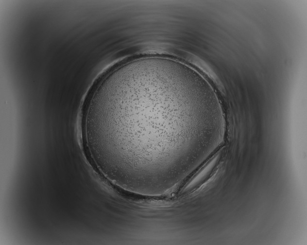 X0000099930984200805301155