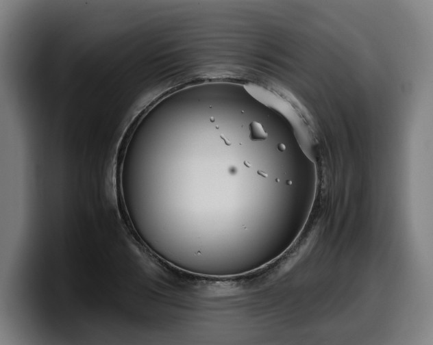 X0000099930986200805301155