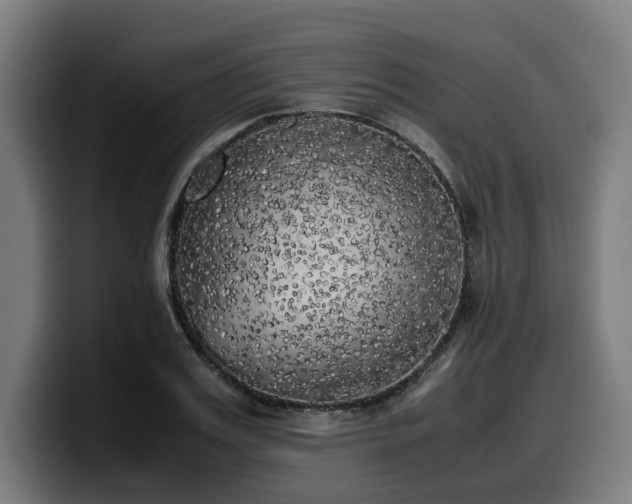 X0000099930987200805301155