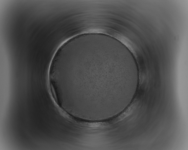 X0000099930988200805301155