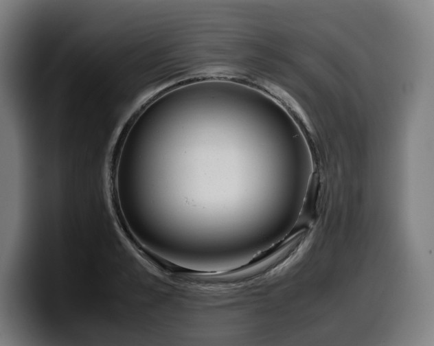 X0000099930989200805301155