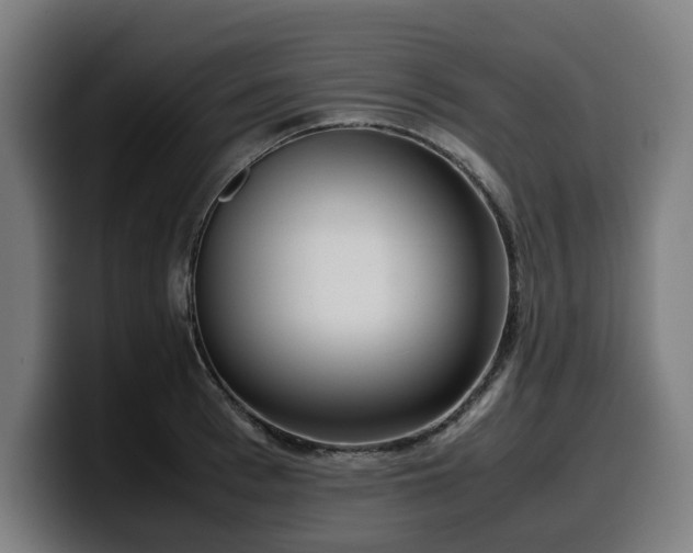 X0000099930993200805301155