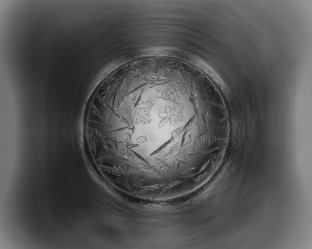 X0000099930994200805301155