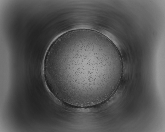 X0000099930996200805301155