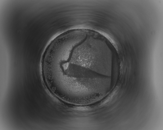 X0000099930998200805301154