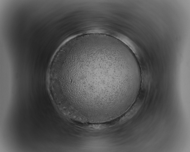 X0000099931000200805301154