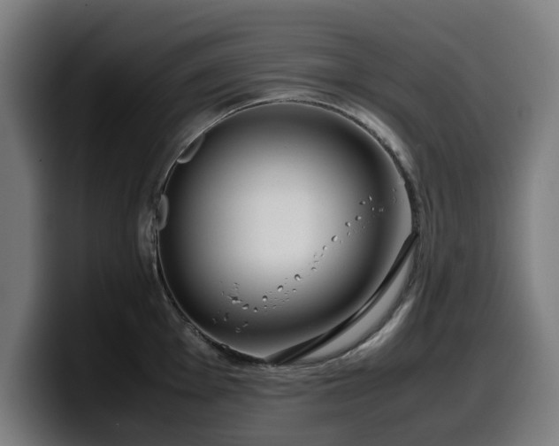 X0000099931001200805301154