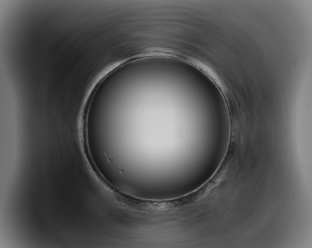 X0000099931003200805301154