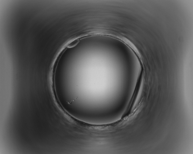 X0000099931005200805301154