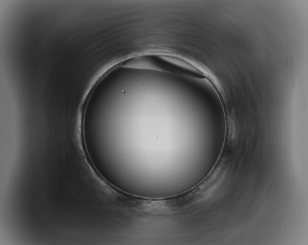 X0000099931006200805301154