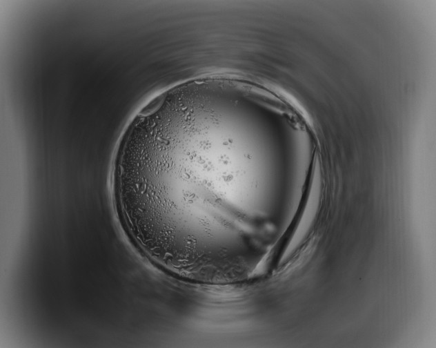 X0000099931007200805301154