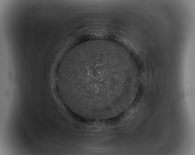 X0000099931009200805301154