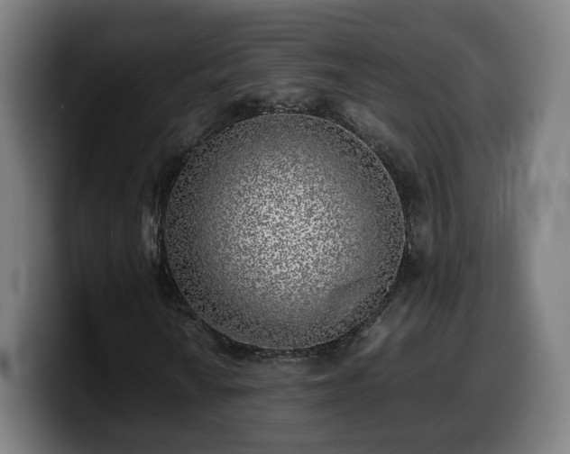 X0000099931010200805301154