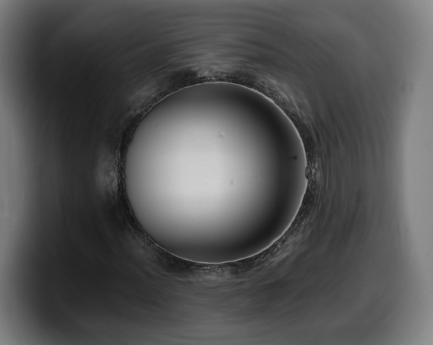 X0000099931012200805301154