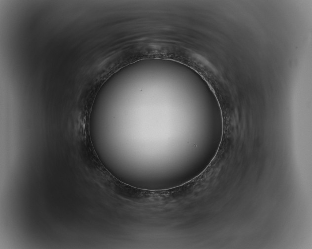 X0000099931013200805301154