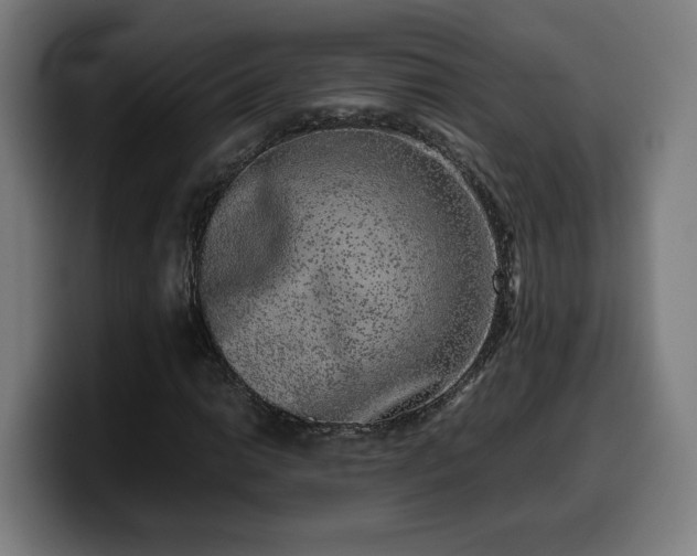 X0000099931014200805301154