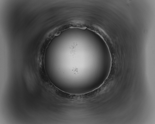 X0000099931016200805301154