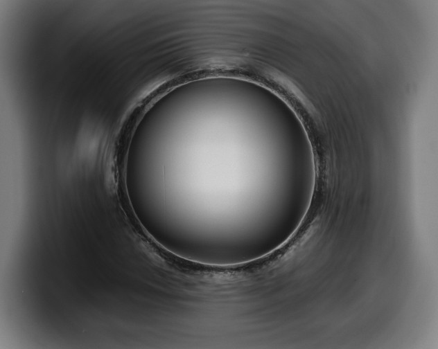 X0000099931018200805301154