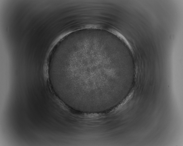 X0000099931019200805301154