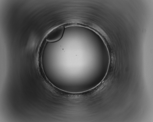 X0000099931020200805301154