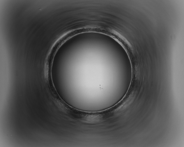 X0000099931021200805301154