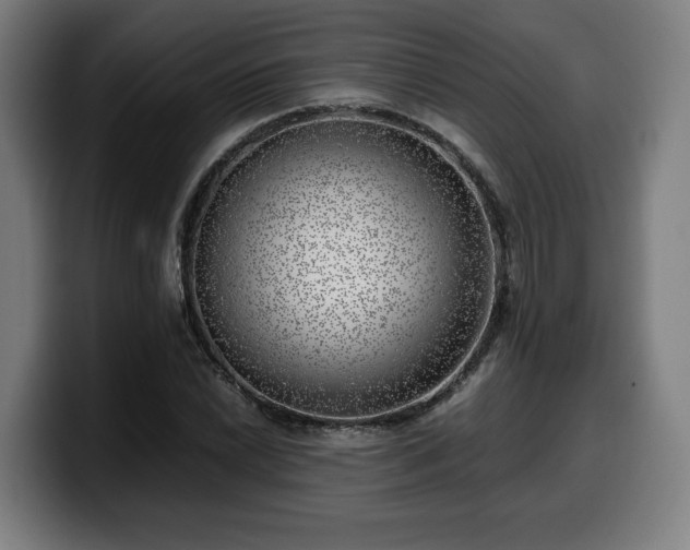 X0000099931022200805301154