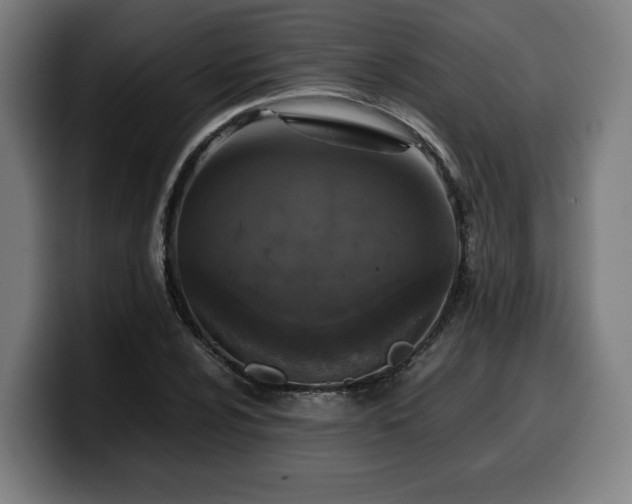 X0000099931024200805301154