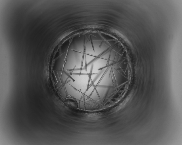 X0000099931025200805301154
