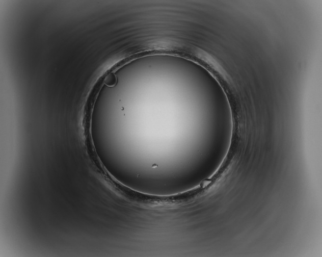 X0000099931026200805301154