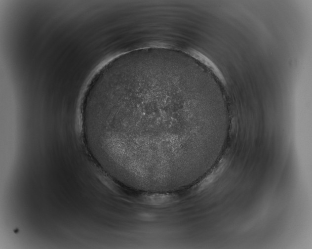 X0000099931027200805301154