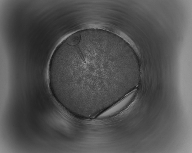 X0000099931028200805301154